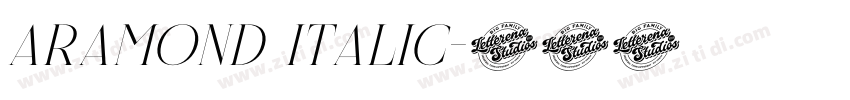 aramond Italic字体转换 aramond Italic字体转换